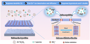 Graphical abstract: Amorphous anion skeletons induce rapid and cation-selective ion flux towards stable aqueous zinc–iodine batteries