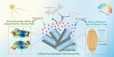 Graphical abstract: Synergistic molecular and heterojunction engineering of sulfonyl-functionalized perylene diimide polymers for enhanced visible-light photocatalysis