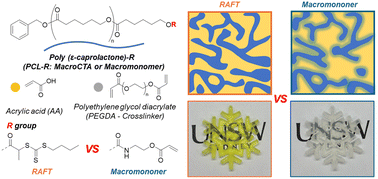 Graphical abstract: 3D printing via polymerization-induced microphase separation using acrylate macromonomers instead of macroRAFT agents