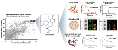 Graphical abstract: High-throughput screening of FDA-approved drugs identifies colchicine as a potential therapeutic agent for atypical teratoid/rhabdoid tumors (AT/RTs)