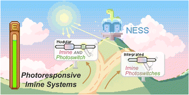 Graphical abstract: Light them up: photoresponsive imine-containing systems