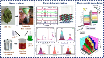 Graphical abstract: Nyctanthes arbor-tristis L. mediated sustainable synthesis of α-Fe2O3/g-C3N4 S-scheme heterojunctions for enhanced photocatalytic degradation of tetracycline hydrochloride: a mechanistic insight and DFT study