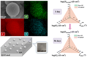 Graphical abstract: Achieving superior anti-corrosion performance with spherical organic additives and synergistic barrier passivation mechanisms