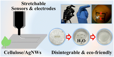 Graphical abstract: Eco-friendly, flexible and stretchable printed electronics based on a sustainable elastic substrate and ink