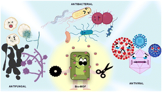 Graphical abstract: Precision-engineered supramolecular assembly of bio-MOFs to combat antimicrobial resistance
