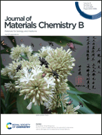 Graphical abstract: Front cover