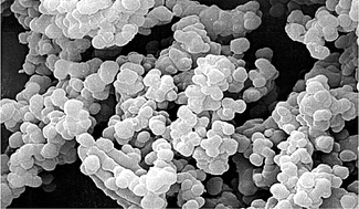 Graphical abstract: Structure and activity of Candida antarctica lipase B in ionic liquids