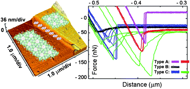 Graphical abstract: SFM study of the surface of halogen-bonded hybrid co-crystals containing long-chain perfluorocarbons