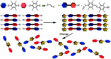 Graphical abstract: Copper-free cycloaddition of azide and alkyne in crystalline state facilitated by arene–perfluoroarene interactions
