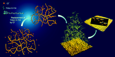 Graphical abstract: Capping agent replacement induced self-organization of ultrathin nanowires: a new and general approach for fabricating noble metal nanoporous films with small ligament sizes