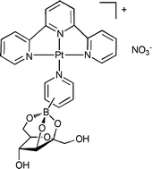 Graphical abstract: Synthesis, carbohydrate- and DNA-binding studies of cationic 2,2′:6′,2′′-terpyridineplatinum(ii) complexes containing N- and S-donor boronic acid ligands
