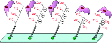 Graphical abstract: Multiplexed binding determination of seven glycoconjugates for Pseudomonas aeruginosa Lectin I (PA-IL) using a DNA-based carbohydrate microarray