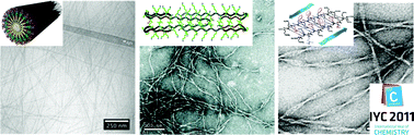 Graphical abstract: Self-assembling peptide scaffolds for regenerative medicine