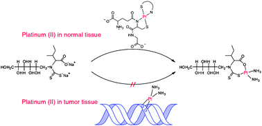 Graphical abstract: Development of highly effective three-component cytoprotective adjuncts for cisplatin cancer treatment: synthesis and in vivo evaluation in S180-bearing mice