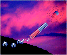 Graphical abstract: Micromotors with built-in compasses