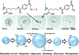 Graphical abstract: Self-pulsation observed in pH-sensitive microcapsules