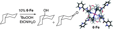 Graphical abstract: Hydrocarbon oxidation catalyzed by self-folded metal-coordinated cavitands