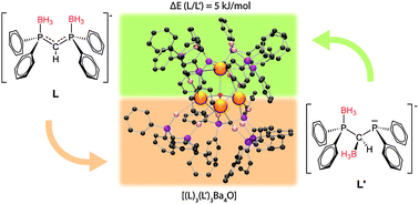 Graphical abstract: Formation of a Ph2PCH(BH3)P(BH3)Ph2 ligand via formal 1,2-borane migration