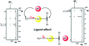 Graphical abstract: A combined NMR/DFT study on the ion pair structure of [(PR12R2)Au(η2-3-hexyne)]BF4 complexes