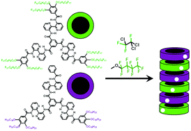 Graphical abstract: Helical self-assembly and co-assembly of fluorinated, preorganized discotics