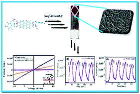Graphical abstract: A new hydrogel from an amino acid-based perylene bisimide and its semiconducting, photo-switching behaviour