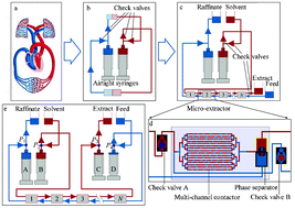Graphical abstract: Bionic system for countercurrent multi-stage micro-extraction