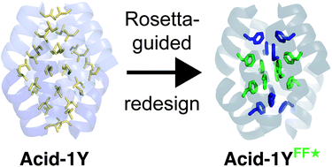 Graphical abstract: Remodeling a β-peptide bundle