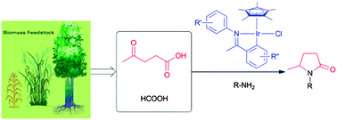 Graphical abstract: Highly efficient transformation of levulinic acid into pyrrolidinones by iridium catalysed transfer hydrogenation