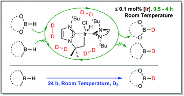 Graphical abstract: Deuteration of boranes: catalysed versus non-catalysed processes