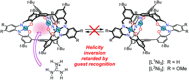 Graphical abstract: Perfect encapsulation of a guanidinium ion in a helical trinickel(ii) metallocryptand for efficient regulation of the helix inversion rate