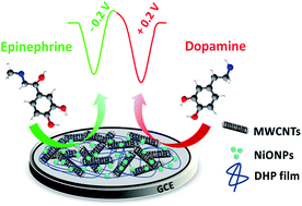 Graphical abstract: Simultaneous voltammetric determination of dopamine and epinephrine in human body fluid samples using a glassy carbon electrode modified with nickel oxide nanoparticles and carbon nanotubes within a dihexadecylphosphate film