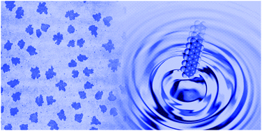 Graphical abstract: Growth dynamics in supersonic molecular beam deposition of pentacene sub-monolayers on SiO2