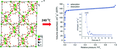 Graphical abstract: Enhanced gas-sorption properties of a high surface area, ultramicroporous magnesium formate