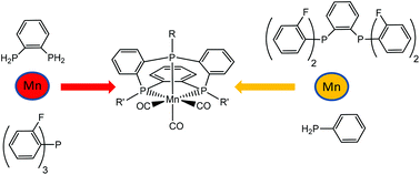 Graphical abstract: Manganese(i) templates for the construction of benzannulated triphosphamacrocycles