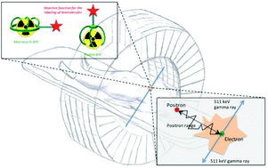 Graphical abstract: Radiometals: towards a new success story in nuclear imaging?