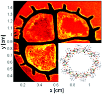 Graphical abstract: Characterisation and application of ultra-high spin clusters as magnetic resonance relaxation agents