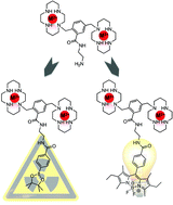 Graphical abstract: New AMD3100 derivatives for CXCR4 chemokine receptor targeted molecular imaging studies: synthesis, anti-HIV-1 evaluation and binding affinities