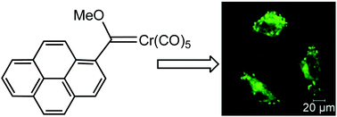 Graphical abstract: Confocal and fluorescence lifetime imaging sheds light on the fate of a pyrene-tagged carbon monoxide-releasing Fischer carbene chromium complex