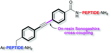 Graphical abstract: Synthesis of bisarylethyne–peptide conjugates