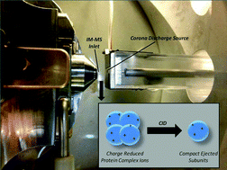 Graphical abstract: Ion mobility-mass spectrometry of charge-reduced protein complexes reveals general trends in the collisional ejection of compact subunits