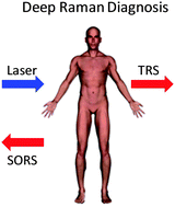 Graphical abstract: Development of deep subsurface Raman spectroscopy for medical diagnosis and disease monitoring