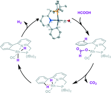 Graphical abstract: Reversible cyclometalation at RhI as a motif for metal–ligand bifunctional bond activation and base-free formic acid dehydrogenation