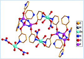 Graphical abstract: Molecular, 1D and 2D assemblies from hexakis(3-pyridyloxy)cyclophosphazene containing 20-membered metallamacrocyclic motifs