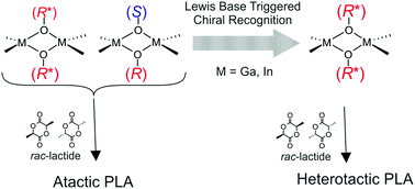 Graphical abstract: Controlling the stereoselectivity of rac-LA polymerization by chiral recognition induced the formation of homochiral dimeric metal alkoxides