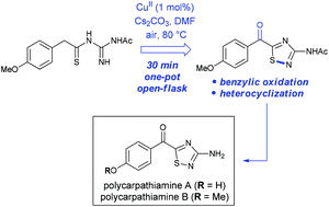 Graphical abstract: Synthesis of the 1,2,4-thiadiazole alkaloids polycarpathiamines A and B