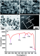 Graphical abstract: Zinc oxide quantum dots: multifunctional candidates for arresting C2C12 cancer cells and their role towards caspase 3 and 7 genes