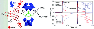 Graphical abstract: Water splitting with polyoxometalate-treated photoanodes: enhancing performance through sensitizer design