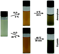 Graphical abstract: Facile and controlled synthesis of stable water-soluble cupric sulfide quantum dots for significantly inhibiting the proliferation of cancer cells