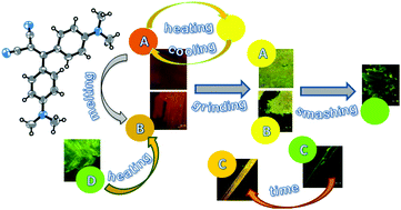 Graphical abstract: Polymorphism-dependent aggregation induced emission of a push–pull dye and its multi-stimuli responsive behavior