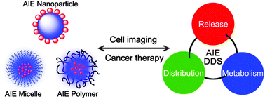 Graphical abstract: Subcellular behaviour evaluation of nanopharmaceuticals with aggregation-induced emission molecules